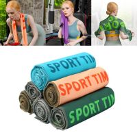 Super Absorbent Microfiber Material Swimming For Gym Running Lightweight Fast Dry Sport Towel Travel