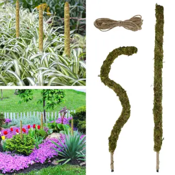 Moss Plant Pole, Plant Sticks Support, Bendable Plant Stake, Handmade  Slim Moss Stick For Indoor Plants, Climbing Monstera Plants Growing Support