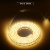 High Brightness LED Strip AC220V SMD2835 Waterproof Flexible Light 120LEDsm Led Tape With Power Plug 1M2M5M6M outdoor garden