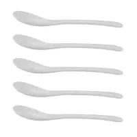 Set of 5 Ceramic Spoon Teaspoon Spoon Jam Honey