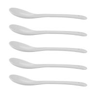 Set of 5 Ceramic Spoon Teaspoon Spoon Jam Honey