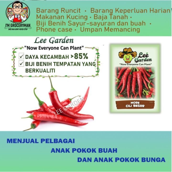 Lee Garden Biji Benih More Cili Besar Lee Garden More Chili Seed