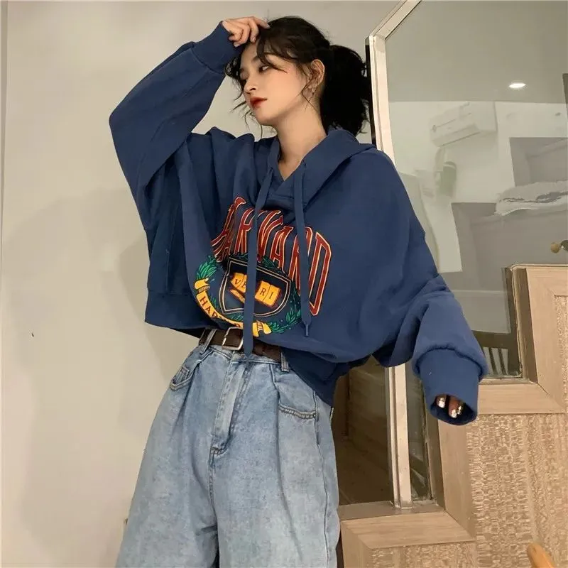 Korean Version Section Sweater