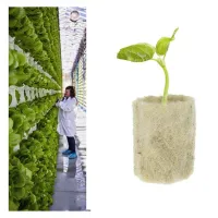 50PCS Seedling Grow Rock Wool Plugs Soilless Culture Hydroponic Planting Grow Cylindrical Blocks for Garden Greenhouses Supplies