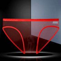 Transparent Underwear Hot Man Pants Ultra-thin Perspective Mid-rise Male Mesh Slips Homme Panties Plus Size