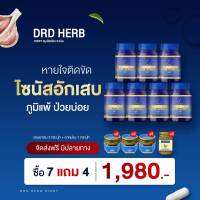 เซต7แถม4 - ไซนัสอักเสบ ภูมิแพ้ หายใจติดขัด สั่งเลย  DRD HERB RIDSY