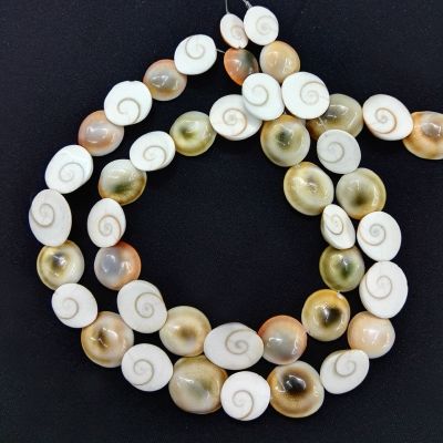 【CC】✸✻❈  Wholesale natural stone perforation Snails beads charms animal Jewelry Accessories shell 12Pcs/lot  shipping