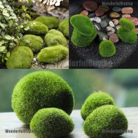 Marimo Moss Balls Artificial Grass Stones Turf Mini Fairy Garden Micro Terrarium