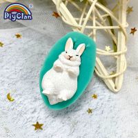 Mini White Rabbit Silicone Fondant Cake Decorating Molds Easter Bunny Chocolate Mould Baking Tools Animal Epoxy Resin Kitchen Bread Cake  Cookie Acces