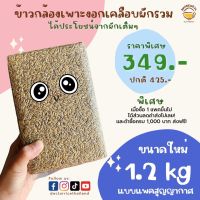 [ขนาดคุ้มค่า 1200 กรัม] ข้าวคุณหมอ Doctor Rice ข้าวกล้องหอมมะลิเพาะงอกเคลือบผักรวม สำหรับเด็กกินยาก Veggie Brown Rice