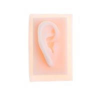 [HOT ZUQIOULZHJWG 517] 1:1 Lifesize Silicone Human Acupuncture Ear Model Medical Study Kit