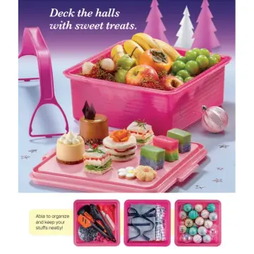 Amazon.com: Tupperware Rectangular Cake Taker: Home & Kitchen