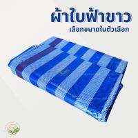 ผ้าใบฟ้าขาว ผ้าเต้นท์ฟาง ผ้าฟาง ผ้าใบพลาสติก ผ้าเต้นท์ บลูชีท Blue Sheet สีฟ้าขาว