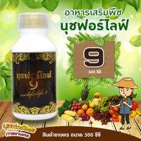 นุชฟอร์ไลฟ์ 9 ( 2 ขวด 500 ซีซี ) ช่วยป้องกันใบจุดสีเหลืองๆล้อมรอบต้น จุดสีน้ำตาลคล้ายราสนิม อาการใบเหลืองตรงกลาง และช่วยให้ผลผลิตเติบ