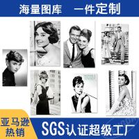 [Free ship] living room background wall decoration painting cross-border Hepburn star poster spray core wholesale