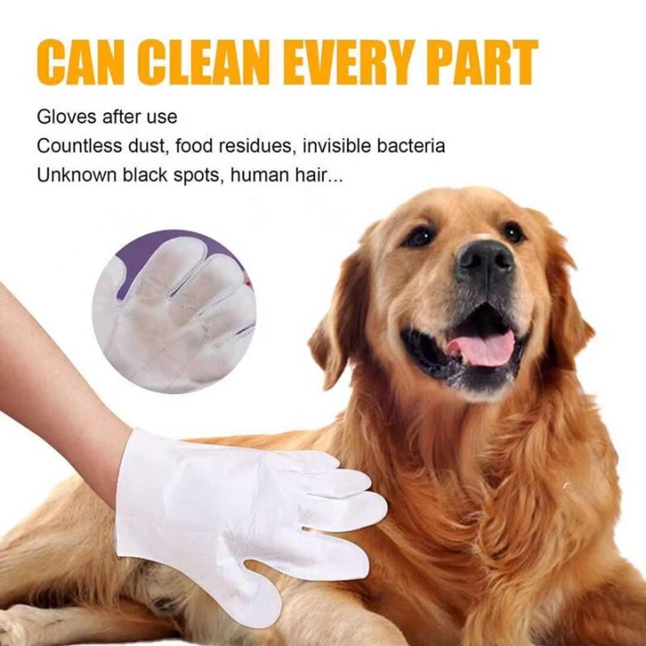chool-พร้อมจัดส่งทำความสะอาดถุงมือสัตว์เลี้ยง-ถุงมือสัตว์เลี้ยงแบบใช้แล้วทิ้ง-ถุงมือทำความสะอาดฆ่าเชื้อ-pet-clean-gloves
