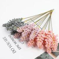 【LZ】✑✘  Natural Seco Flor Rabo De Coelho Orelha De Trigo Pampas Reed Bouquet Decoração De Festa De Casamento Plantas Qualidade 32cm