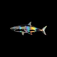 【cw】 17.1x6.4CM Great White Shark Vinyl Decal Animal Car Stickers Decoration Support Custom Car-styling Moto Decal Series