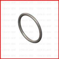 โอริงซีลท้าย KTA19  |  Seal O Ring  205247