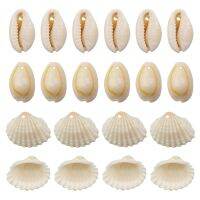 Cowrie Shells Jewelry Making