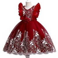 Baby Girl New Party Gown Flower Girls Dresses for Wedding 3-12Years Birthday Kids Clothes Princess Tulle Children Costume  by Hs2023