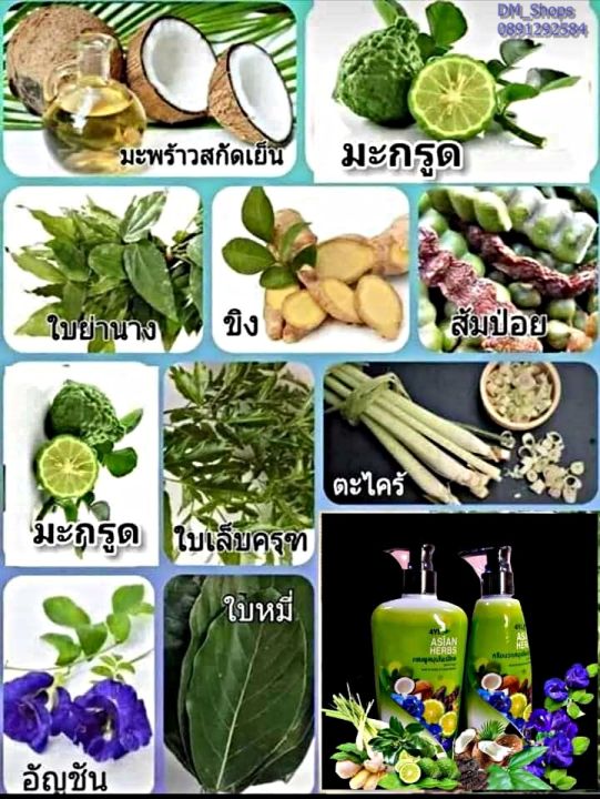 แชมพู-สูตรมะกรูด-4yl-สมุนไพรต้มสดแท้-ขนาด-400-ml