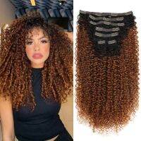 Synthetic Clip In Hair Extension Full Head Long 26”140g Afro Kinky Curly Fake Hair Pieces Clip-on Blacke Brown hairpin For Women