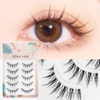 3D Lashes Premade Fan A/M Shape Spikes Cluster Eyelash Mix Extension Individual Makeup Super Natural Wispy DIY Premade  Peduncle