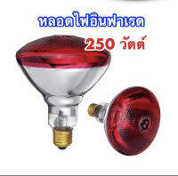 หลอดไฟอินฟาเรต หลอดไฟกก 250 วัตต์