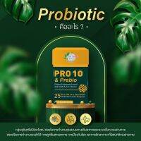 [ส่งฟรี] PRO 10 &amp; Prebio โพรไบโอติกส์และพรีไบโอติกส์แบบผง ฉีกซองทานได้เลย มีจุลินทรีย์ 25 พันล้านตัว:กรัม (75พันล้านตัว) 1 กล่อง 10 ซอง/3กรัม