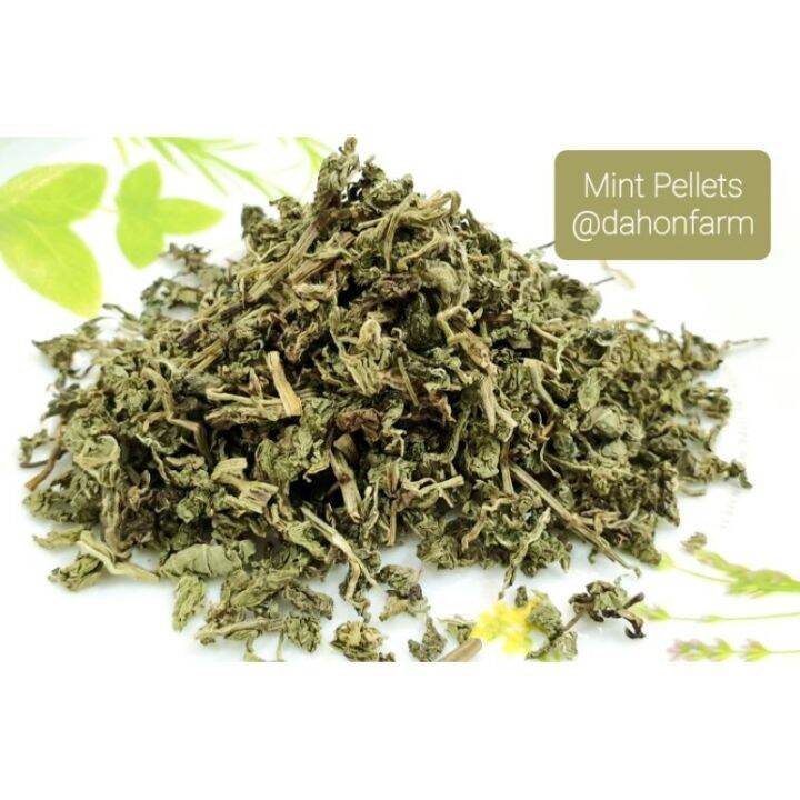 High Grade MINT Tea Better Digestion Dried Mint Leaves Lazada PH
