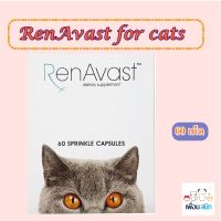 Renavast for cat อาหารเสริมโปรตีน สำหรับแมว อายุ 1 ปีขึ้นไป ไม่เกิน 9 กก. จำนวน 60 caps เลขทะเบียน0208580014