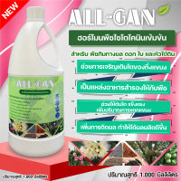 ปุ๋ยน้ำผล ดอก ใบ และหัวใต้ดิน 1000ML. ฮอร์โมนกระตุ้นการแตกตาพืช แตกตาดอก และตาใบ ALL GAN ฮอร์โมนพืชไซโตไคนินเข้มข้น ฟื้นฟูหลังการเก็บเกี่ยว