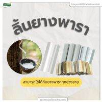 ลิ้นยาง ช้อนยางพารา อุปกรณ์ยางพารา ใช้รองรับการไหลของน้ำยางลงถ้วย บรรจุปริมาณ 1 กิโลกรัม