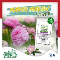 ?Premium Organic? Marshmallow Flower Tea  ชาสมุนไพร ดอกมาร์ชแมลโลว์ 50g