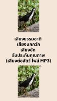 เสียงธรรมชาติ เสียงนกกวัก  เสียงชัด รับประกันคุณภาพ (เสียงต่อสัตว์ ไฟล์ MP3)