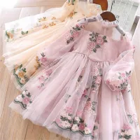 3-8 Years Old Girls Dress Lace Embroidered Rose Flower Long Sleeve Dress Korean Version Little Girl Princess Dress