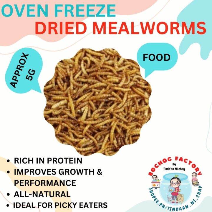 recreation Mealworms x Superworms Oven Dried Oscar predator fish food