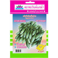 เมล็ดพันธุ์ มะเขือเปราะ ลายมรกต (Eggplant Lai Moragot Seed) บรรจุ 0.5 กรัม  ตะวันต้นกล้า