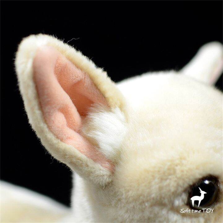 ของเล่นตุ๊กตาสุนัข-plushie-น่ารักหมาชิวาว่าสมจริงตุ๊กตาสัตว์จำลองตุ๊กตา-kawai-ของขวัญของเล่นสำหรับเด็ก