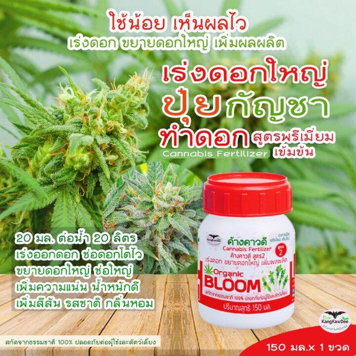 ปุ๋ยกัญ-ระยะทำดอก-เร่งดอกโตไว-ขยายดอกใหญ่-ช่อดอกแน่น-ดอกสมบูรณ์-ค้างคาวดี-สูตร2-เพิ่มน้ำหนัก-เพิ่มสีสัน-เพิ่มรสชาติและกลิ่นหอม