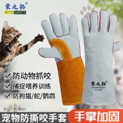 High-end Original Squirrel Anti-bite Cowhide Gloves Demon King Anti-Scratch Hedgehog Thickened Pet Training Groundhog Long Squirrel Supplies