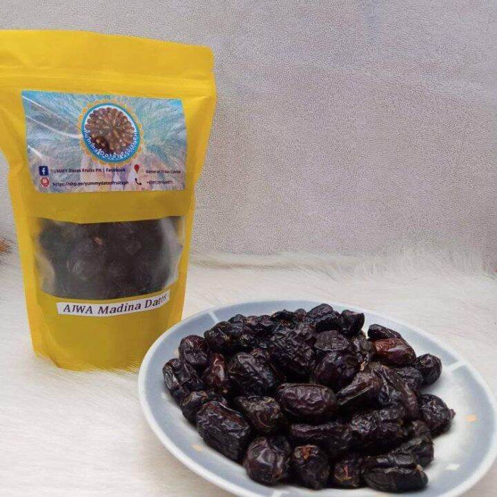 Dried Dates Fruits Ajwa Madina Saudi 500g Lazada PH