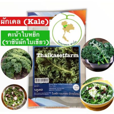 ผักเคล(Kale)คะน้าใบหยิกราชินีผักใบเขียว(ซอง)☘️🌿