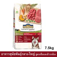 Perfecta Beef &amp; Brown Rice Adult Medium-Large Breed [7.5kg] อาหารสุนัขพันธุ์กลาง-ใหญ่ สูตรเนื้อและข้าวกล้อง