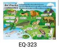 สัตว์กินเนื้อ EQ 323 โปสเตอร์สื่อการสอน หุ้มพลาสติก ขนาด 50 * 70 cm