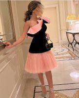 Vintage Short Tulle Evening Dresses A-Line Pink Knee Length فساتين سهرة One Shoulder Prom Formal Dress for Women