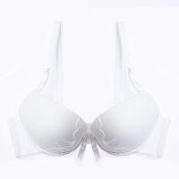 Sexy Temptation Butterfly Lace Bra T shirt For Women Ladies 34 Cup Push Up Underwear Female Brassiere Lingerie Breathable Soft