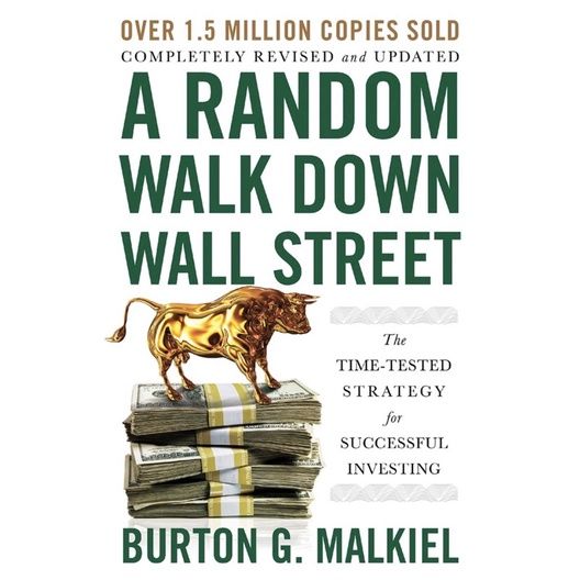 A Random Walk Down Wall Street: The Time-tested Strategy for Successful  Investing by Burton G Malkiel