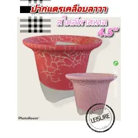 กระถางทรงปากแตรขนาด 4.5ขาตรง เคลือบลาวา เซ็ต 6 ใบ คละสี 299.-